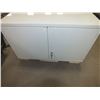 Image 1 : 2 Door Metal Storage Cabinet