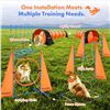 Image 2 : NEW DOG AGILITY TRAINING EQUIPMENT SET INCLUDING