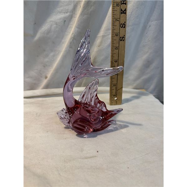 Glass fish