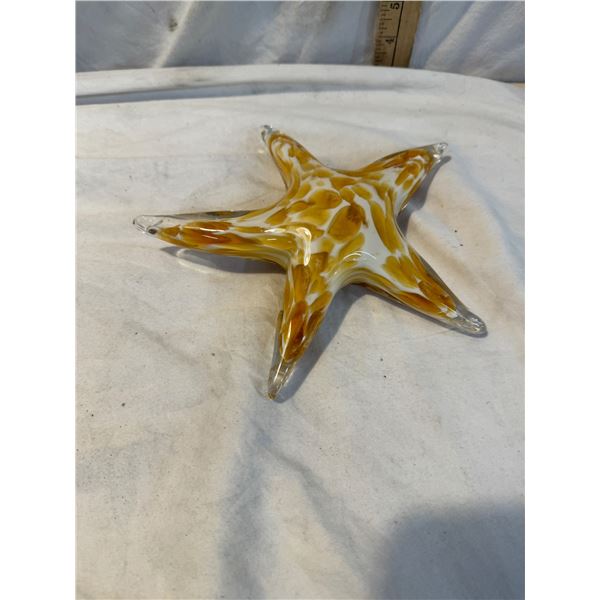 Glass star fish