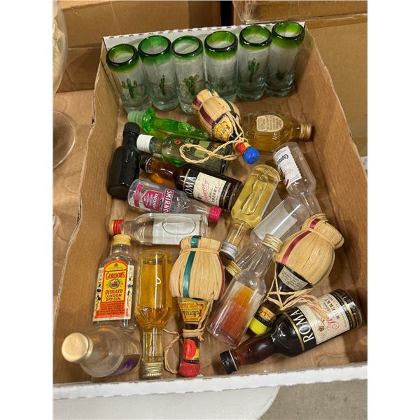 Shooter glasses and bottles and contents