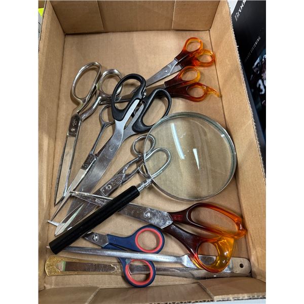 Scissors and magnifier