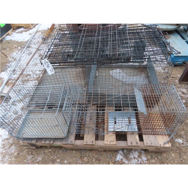 pallet of traps and animal cages , dog pen