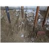 Image 2 : 2 pitchforks and 2 garden tools