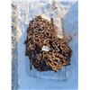 Image 1 : tractor chains and skidder tire chains X2