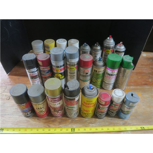 lot of assorted paint