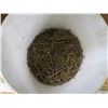 Image 2 : bucket of nails - mostly 1.5"