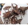 Image 1 : box of traps