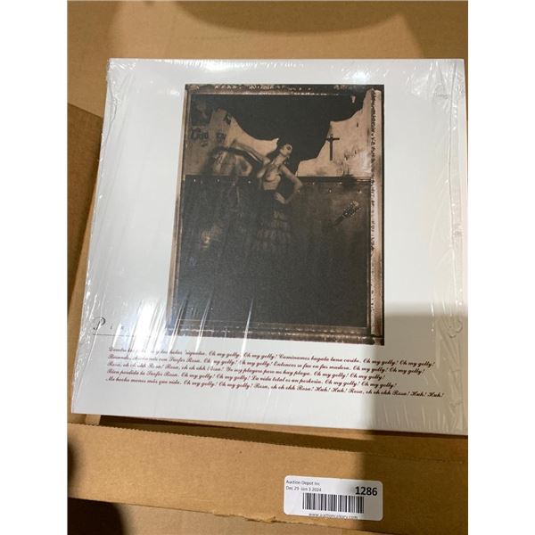 Pixies Surfer Rosa Album