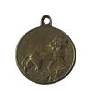 Image 1 : Belgian Wounded Soldiers Pendant Medallion
