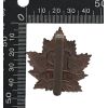 Image 2 : WW1 CEF 12th Battalion Maritimes Cap Badge