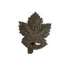 Image 1 : WW1 CEF 46th Battalion, Regina Cap Badge