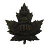 Image 1 : WW1 CEF 118th Battalion, Waterloo, Cap Badge