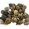 Image 1 : Lot of Canadian and American Uniform Buttons