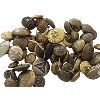 Image 2 : Lot of Canadian and American Uniform Buttons