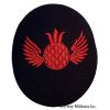 Image 2 : WW2 German Kreigsmarine Rate Patches