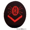 Image 3 : WW2 German Kreigsmarine Rate Patches