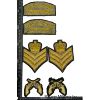 Image 3 : Lot of RCMP Insignia