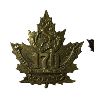 Image 2 : WW1 CEF 170th Battalion Cap & Collar Badge Lot