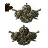 Image 3 : Military Badge Lot