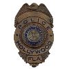 Image 1 : Hollywood Florida Police Department Badge 