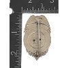 Image 2 : Jackson County Kansas Police Deputy Sheriff Badge