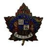 Image 1 : WW1 CEF 196th Battalion Sweetheart Pin