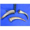 Image 2 : 3 Powder Horns - 1 horn has intials C.M. carved in it