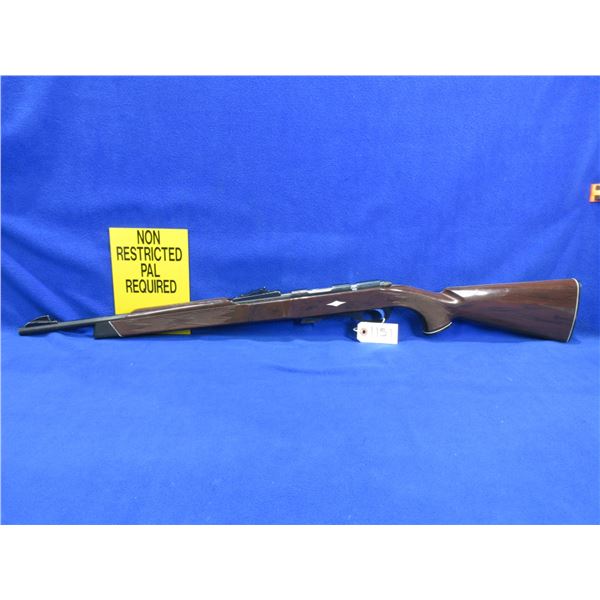 Non-Restricted - Remington Nylon 11 in 22 S, L, LR