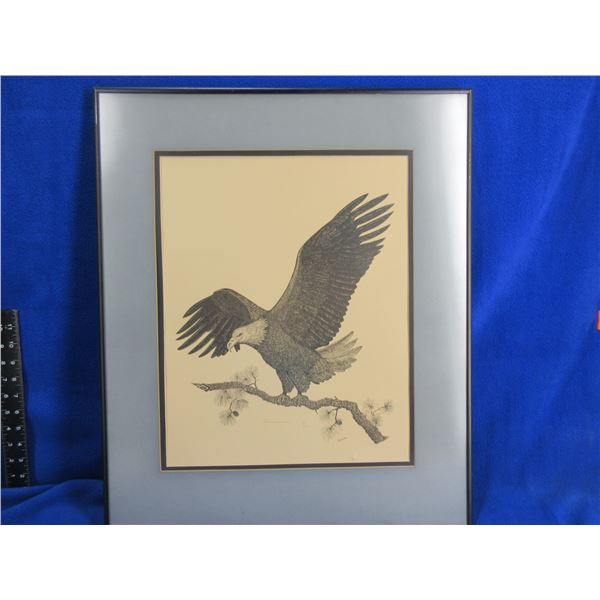 Eagle on a Branch Picture by Zimmerman - 134/500