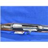 Image 13 : Non-Restricted - Unknown Bolt Shotgun in 16 Ga.