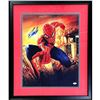 Image 1 : STAN LEE SIGNED AND CUSTOM FRAMED SPIDER-MAN 16 X 20 DISPLAY PSA COA