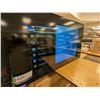 Image 1 : MONITEUR 55" SAMSUNG LH55DMDPLGA