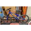 Image 1 : BOYS MOUNTAIN BIKE