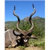 Image 2 : Eastern Cape Big Game, Wing Shooting & Fly Fishing for Two Hunters