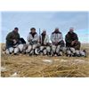 Image 3 : Southern Alberta Waterfowl Hunt