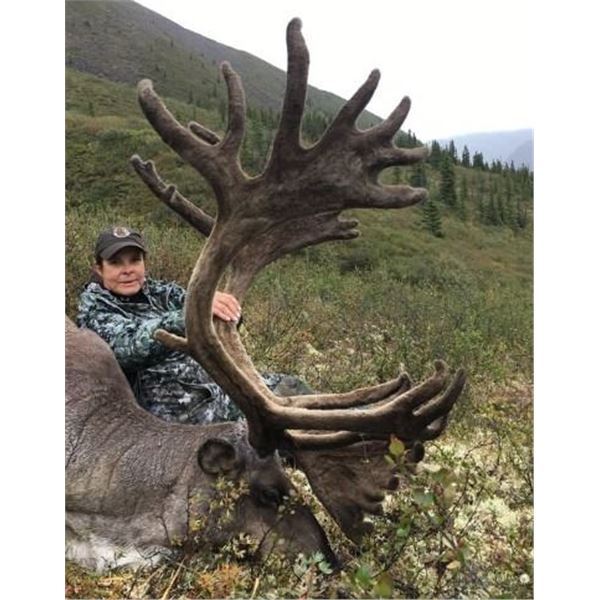 Yukon Caribou Hunt