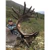 Image 1 : Yukon Caribou Hunt