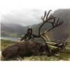 Image 4 : Yukon Caribou Hunt