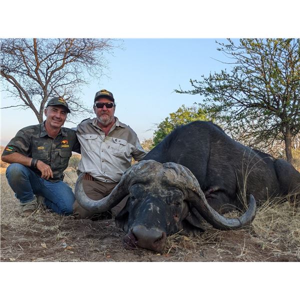 Mozambique Buffalo Hunt