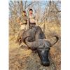 Image 2 : Mozambique Buffalo Hunt