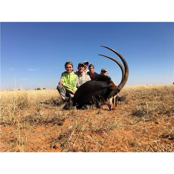 Two Sables, For Two Hunters Over Five Days