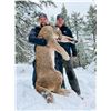 Image 2 : British Columbia Mountain Lion Hunt