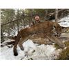 Image 5 : British Columbia Mountain Lion Hunt