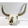 Image 2 : CATTLE SKULL READY FOR ARTWORK