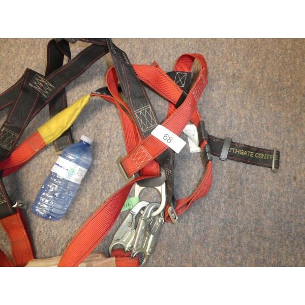 Harness and landyard