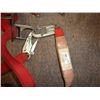 Image 3 : Harness and landyard