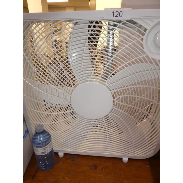 White electric fan woks