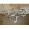 Image 2 : 2 shopping carts with back section