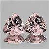 Image 1 : Natural Peach Pink Morganite Pair [VVS]